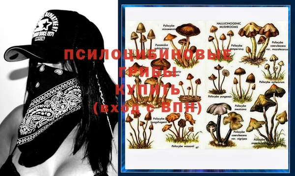 Альфа ПВП Михайловка