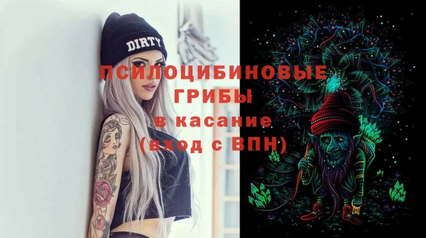 шишки Михайлов