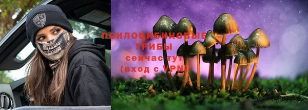 шишки Михайлов